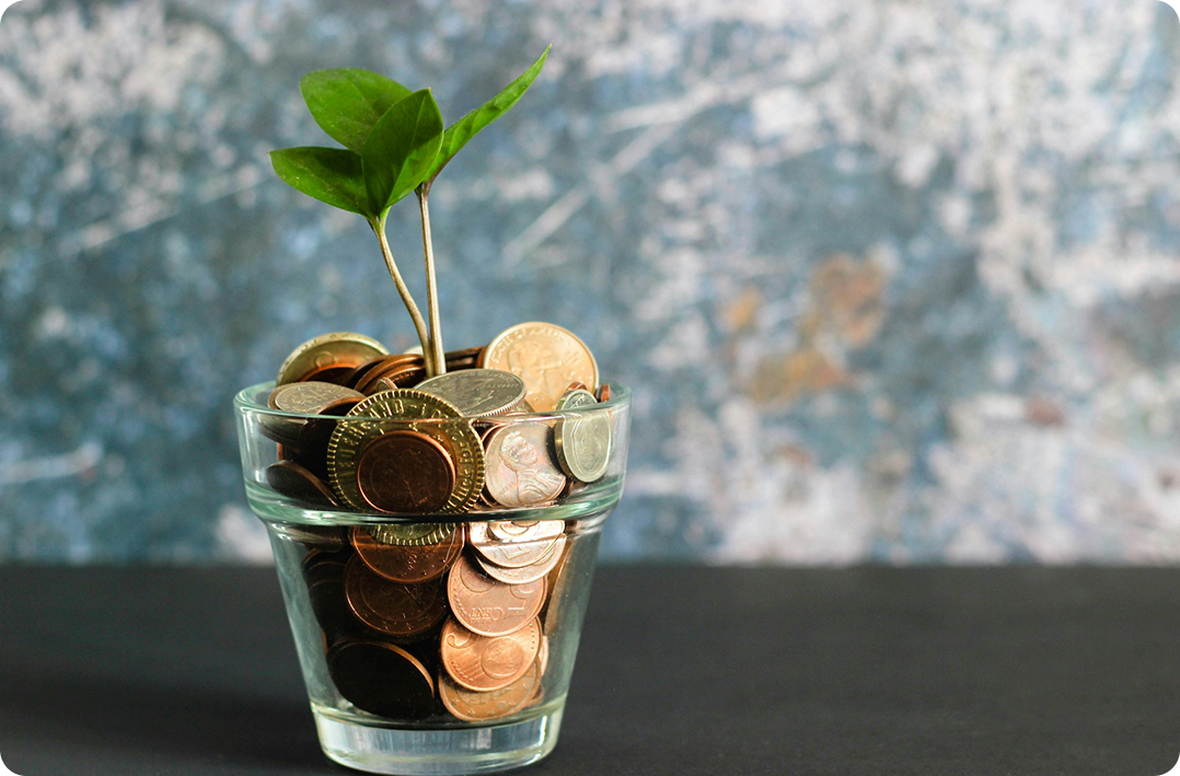 Plant In Cup With Coin Base